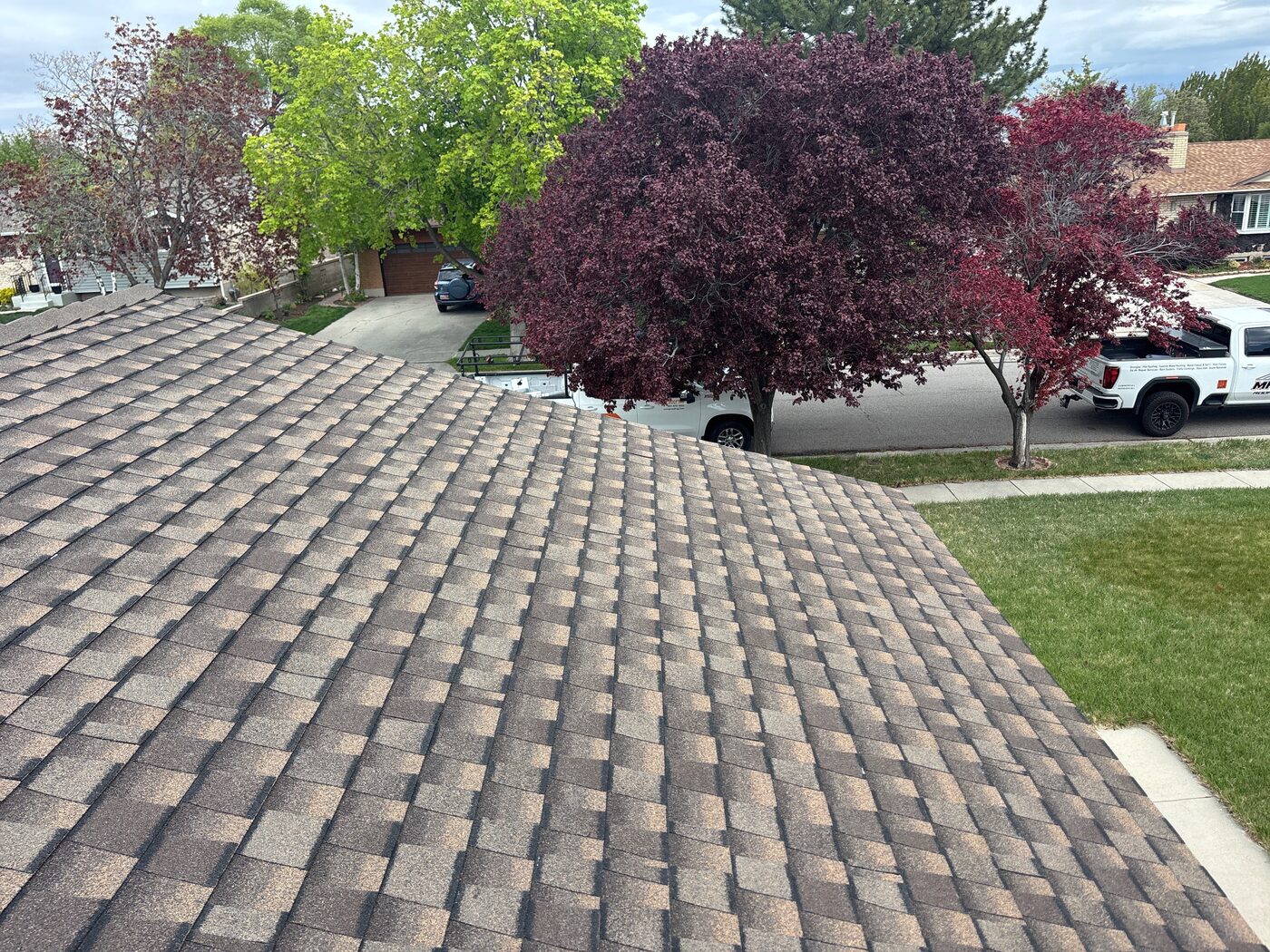 Roof Maintenance