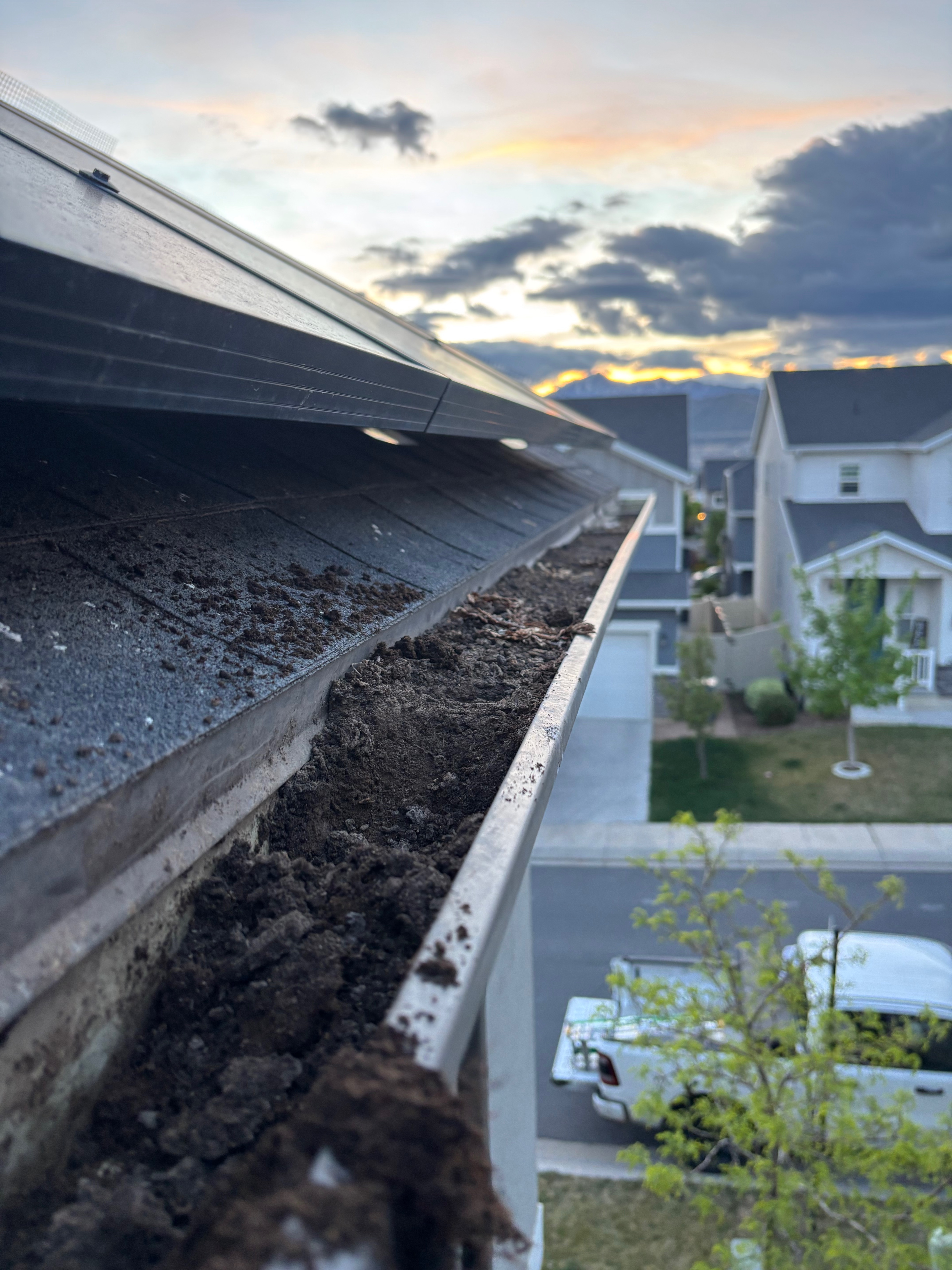 Gutter Cleaning